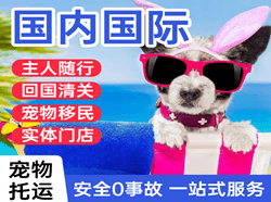 周水子航空邮寄国际宠物托运 【国